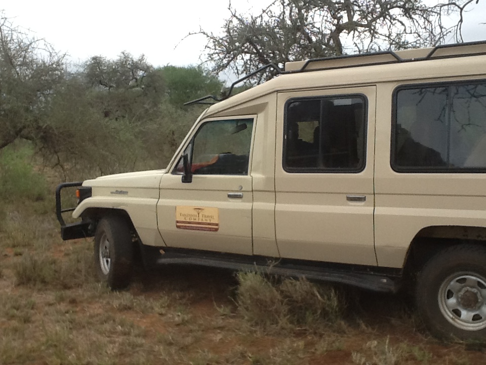 TANZANIA TRAVEL  & SAFARI COMP