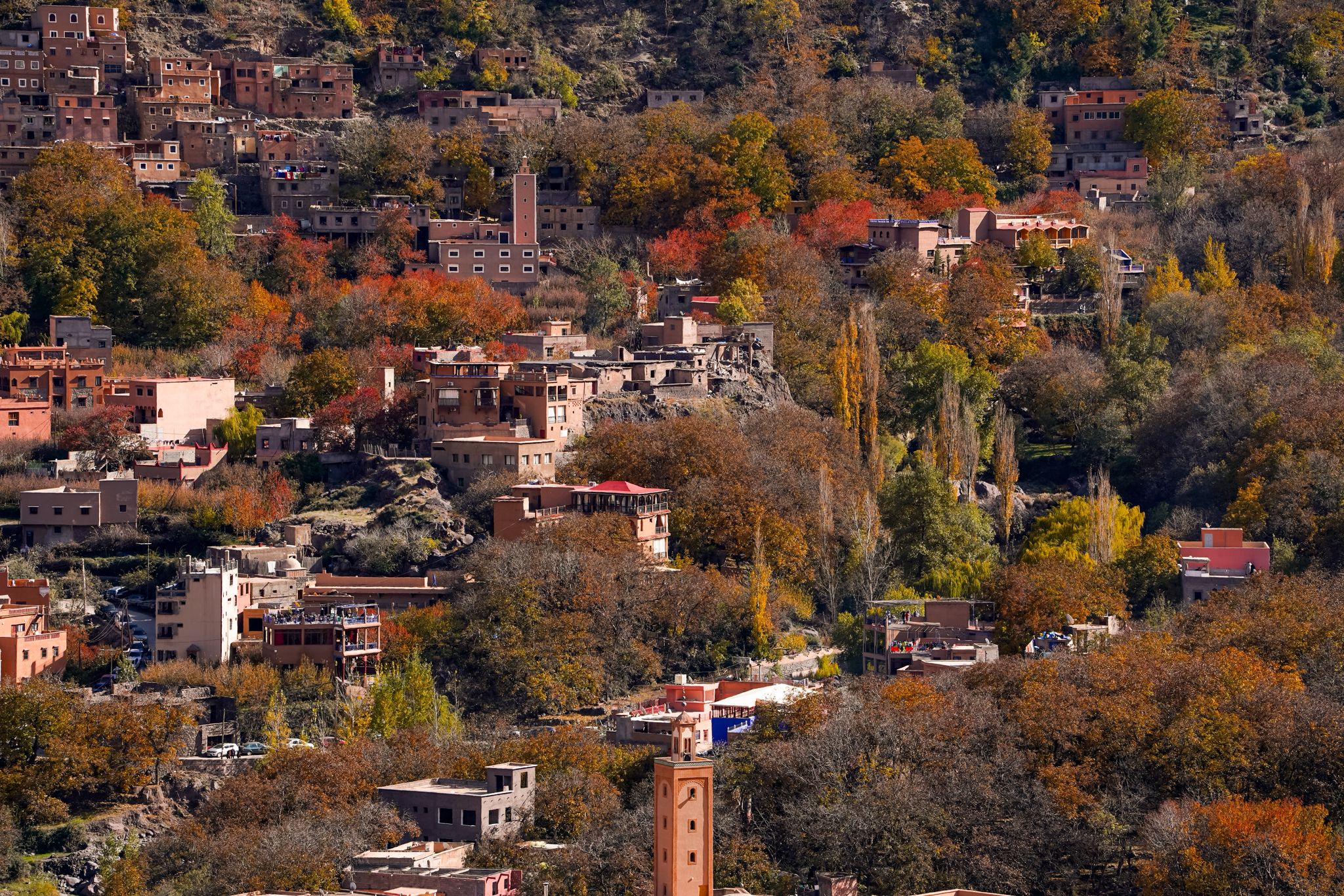 Atlas pathway journeys