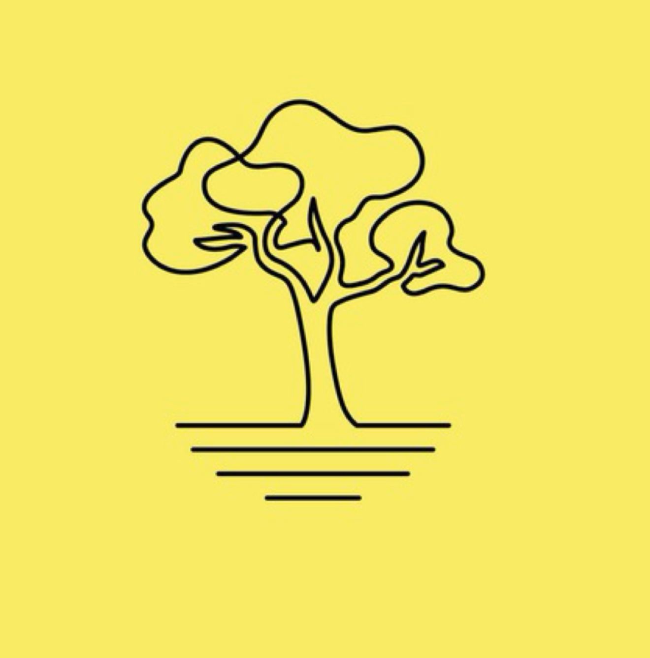 Araguaney Latin Travel