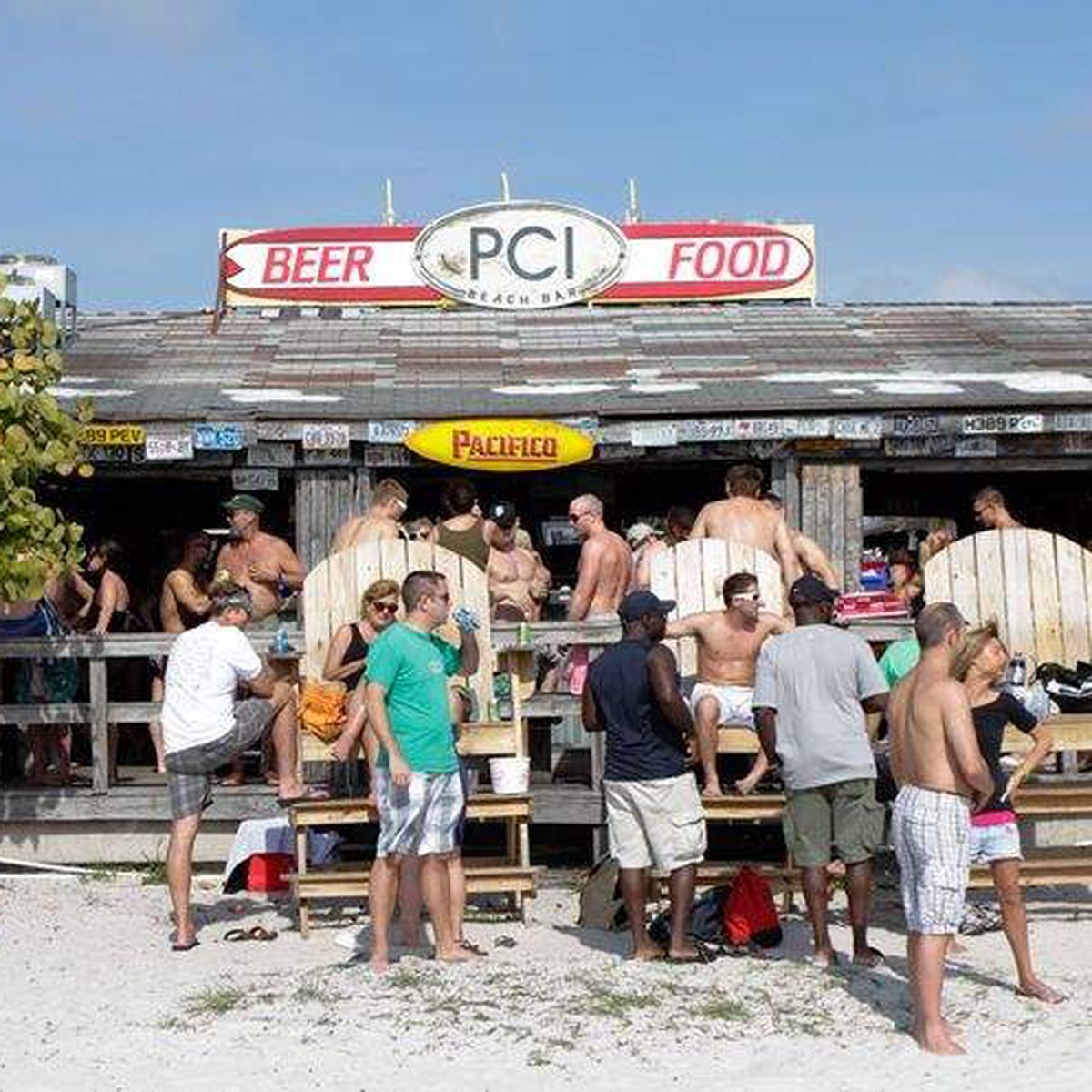 Palm Reading & Day Drinking