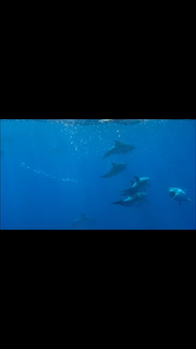 Ocidental Boat Tours