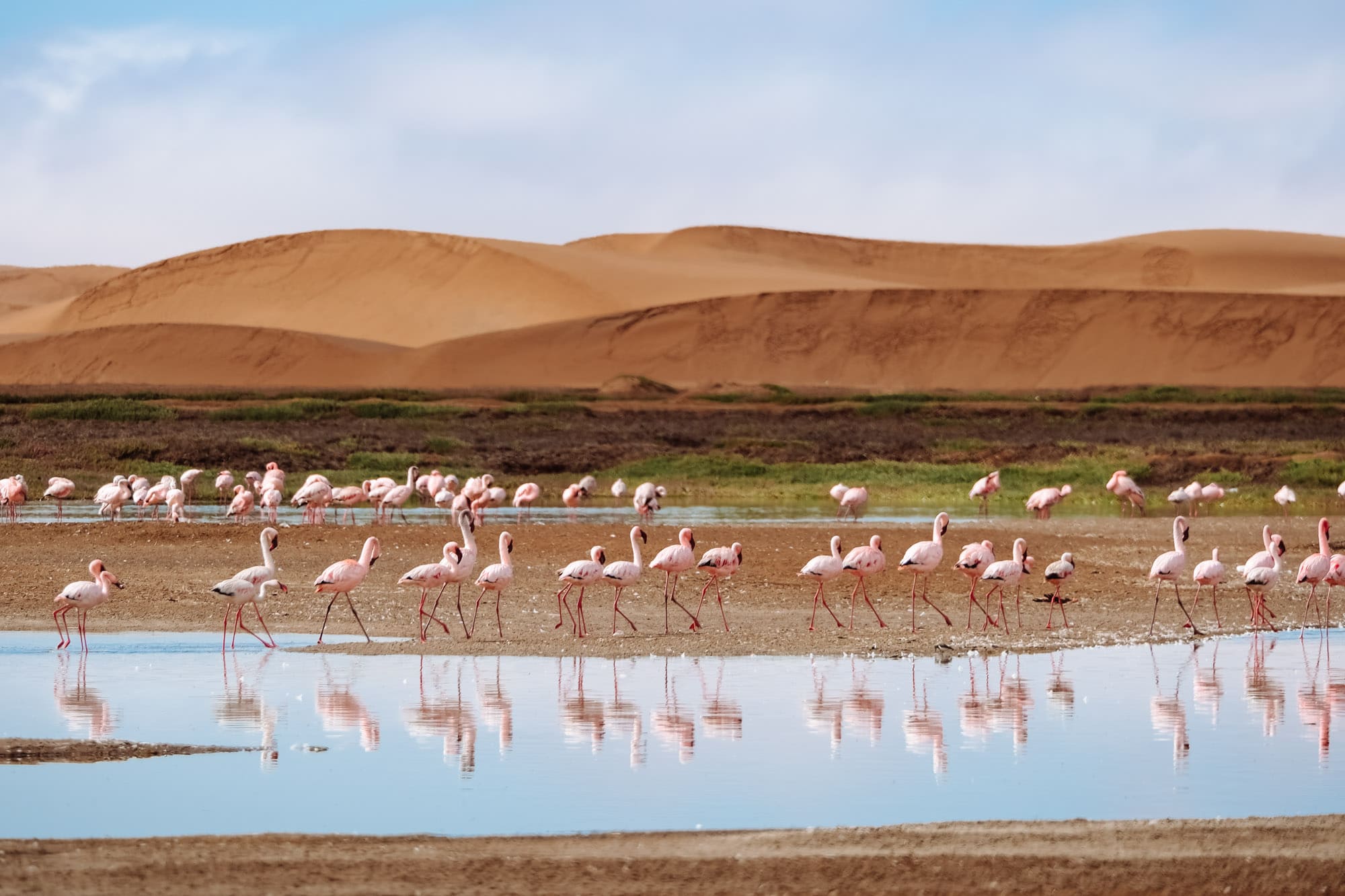 Jollic Adventure Tour