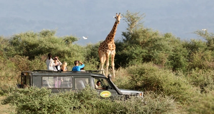 Jollic Adventure Tour