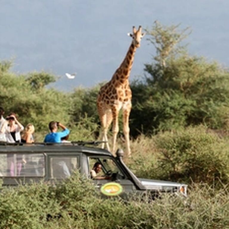 Jollic Adventure Tour