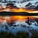Wild Montana Anglers
