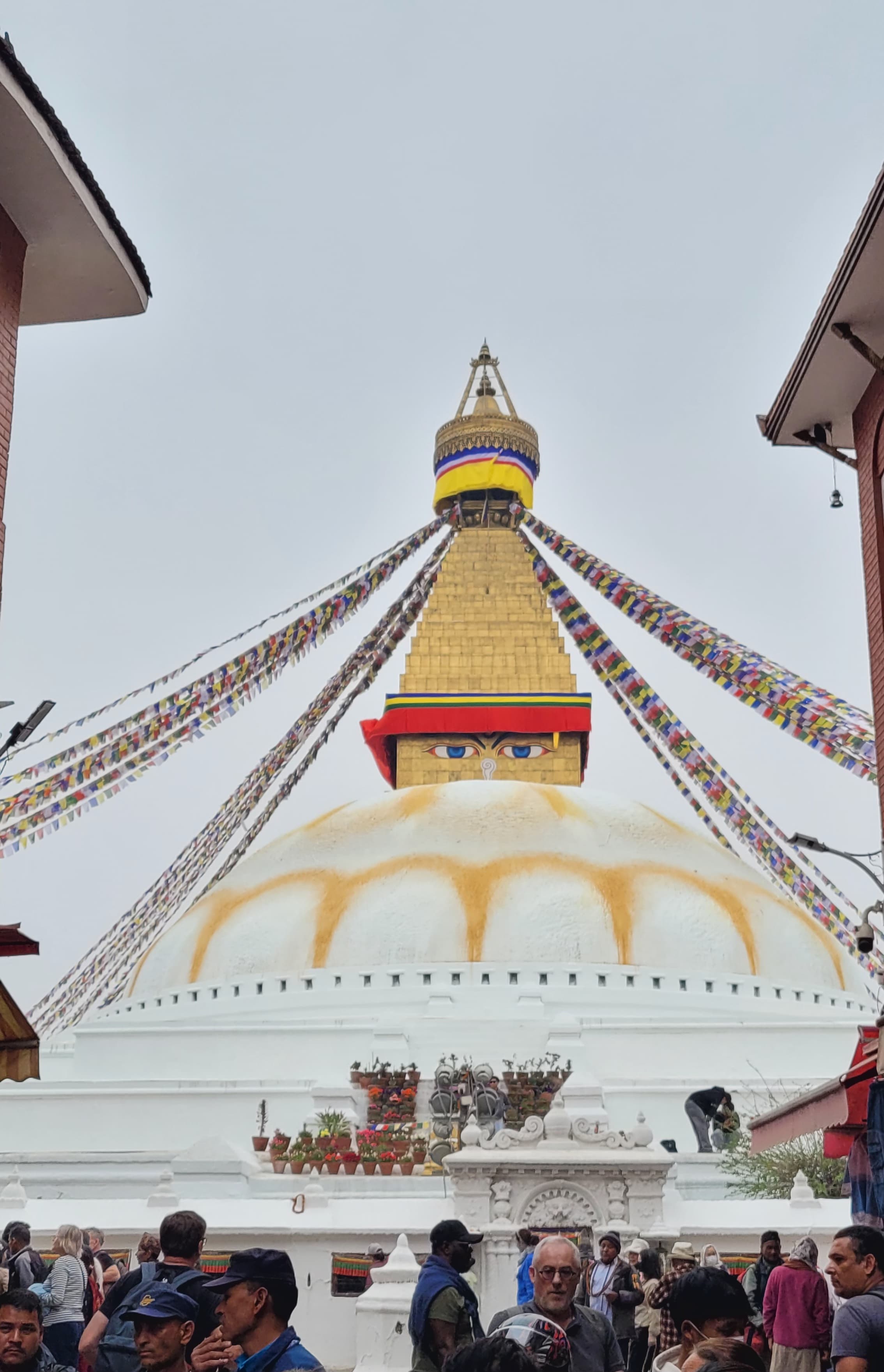 Ashtanga Yoga Studio