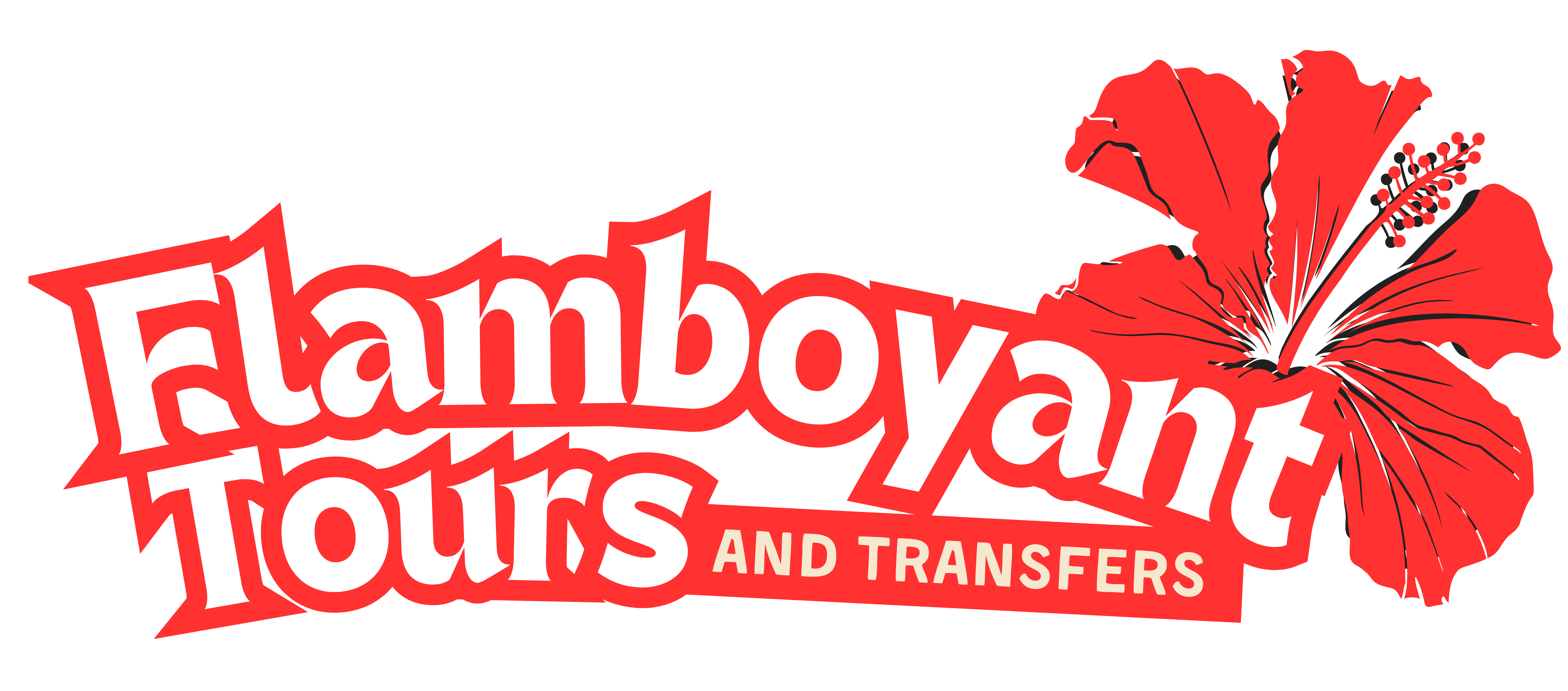 Flamboyant Tours and Transfers