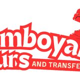 Flamboyant Tours and Transfers