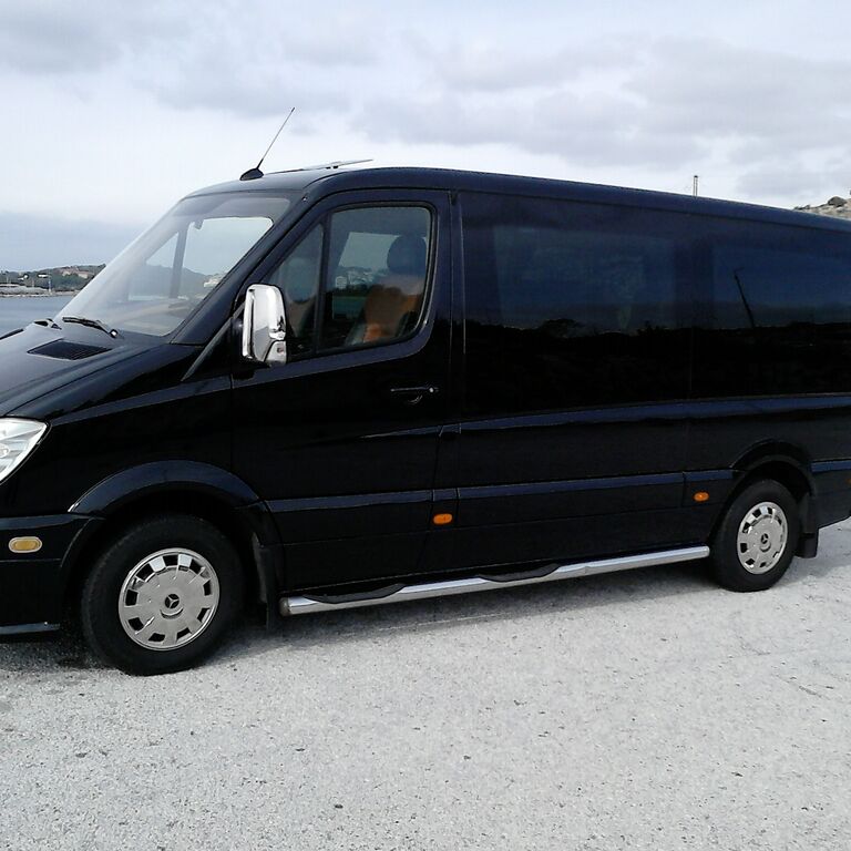 NIKOS LIMO TAXI TOURS