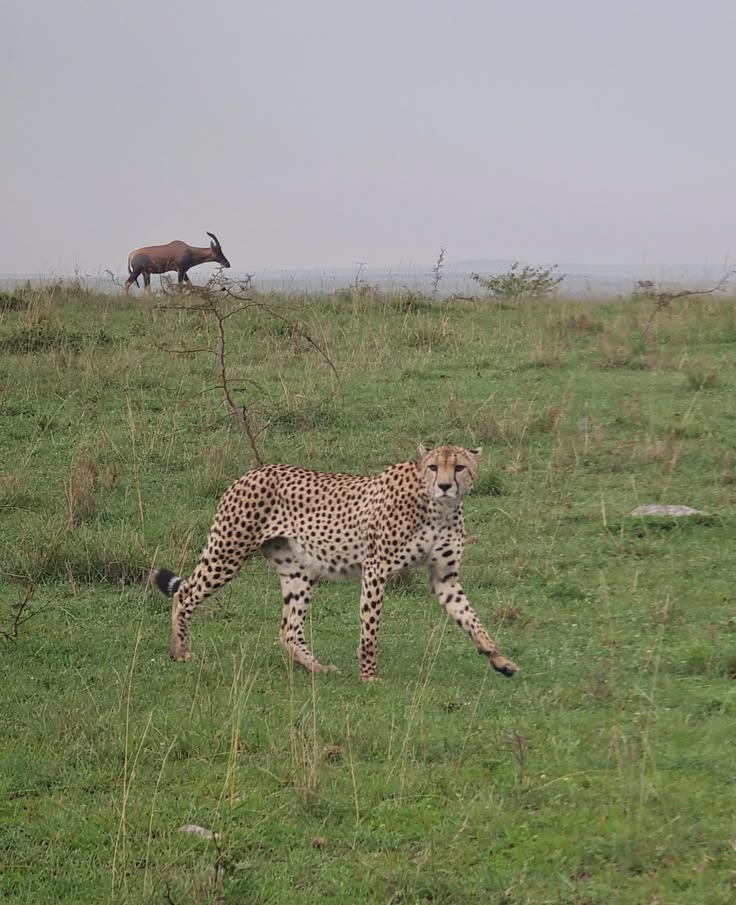 Vanda Tours (Tanzania)