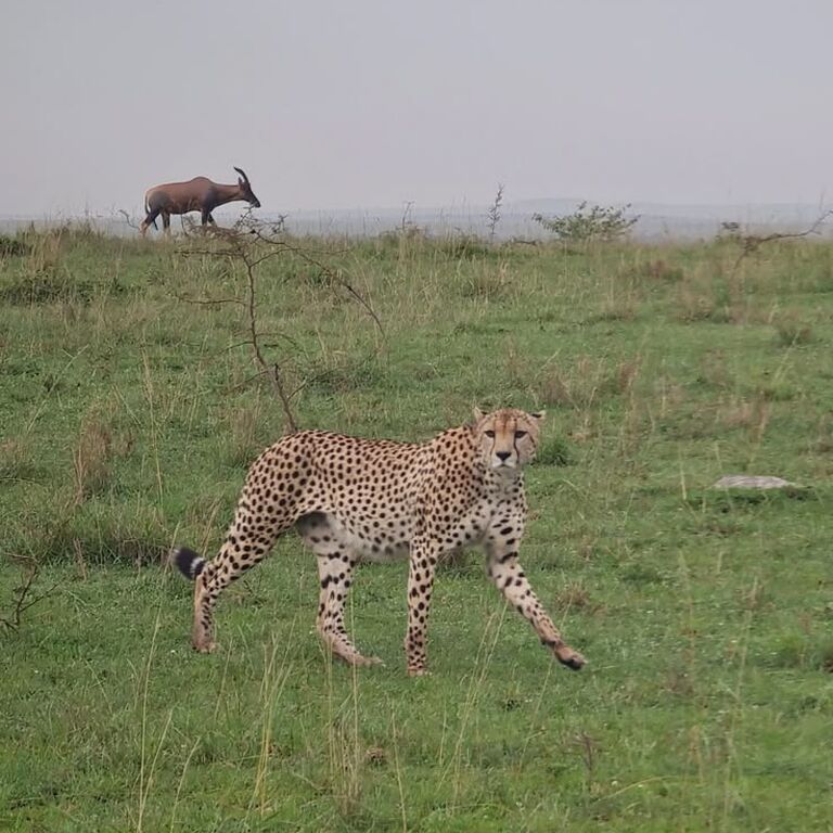 Vanda Tours (Tanzania)