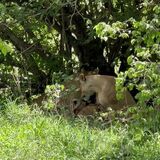 Vanda Tours (Tanzania)