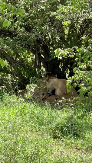 Vanda Tours (Tanzania)