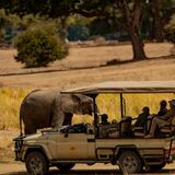 Masuku adventure Safaris