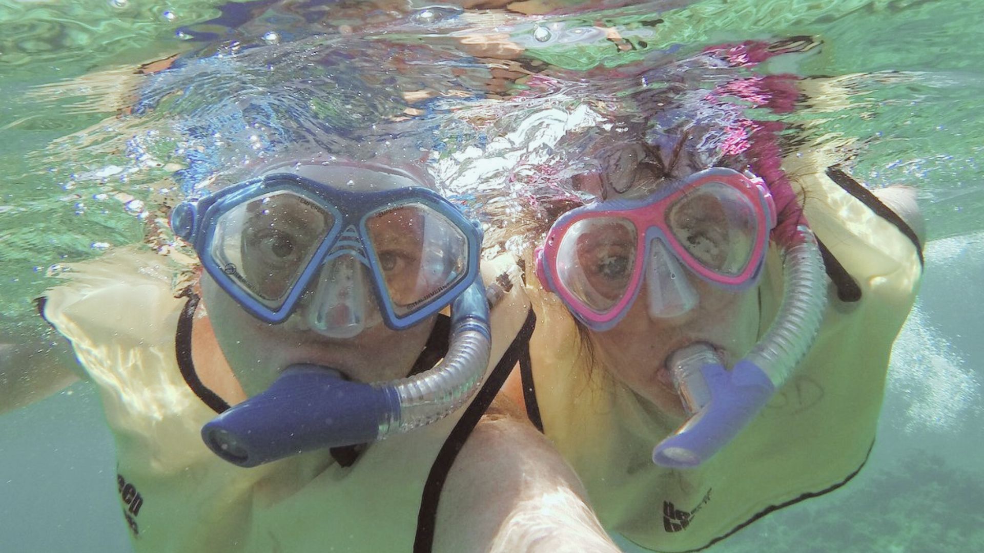 SeaLand Adventure Tours