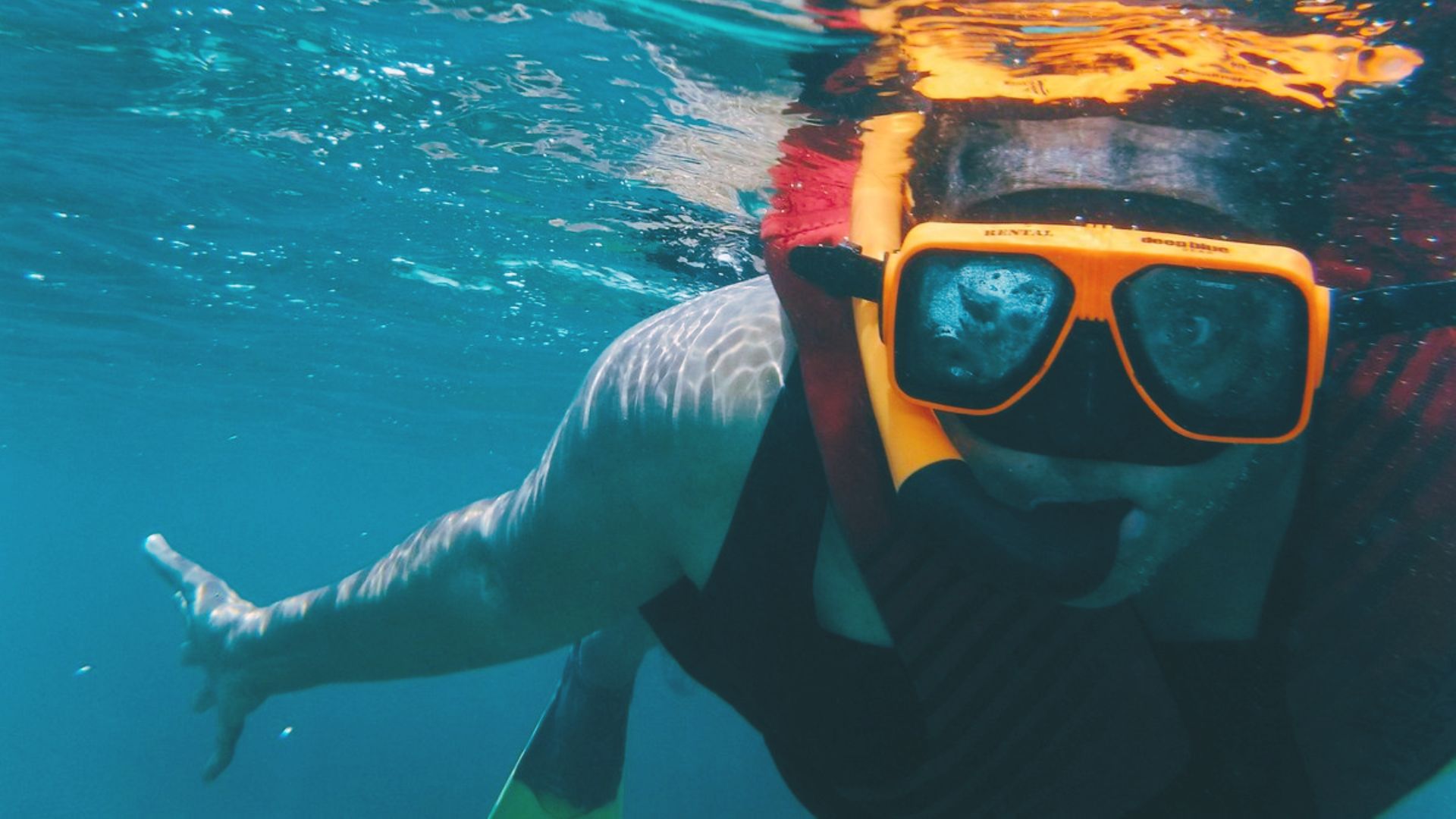 SeaLand Adventure Tours