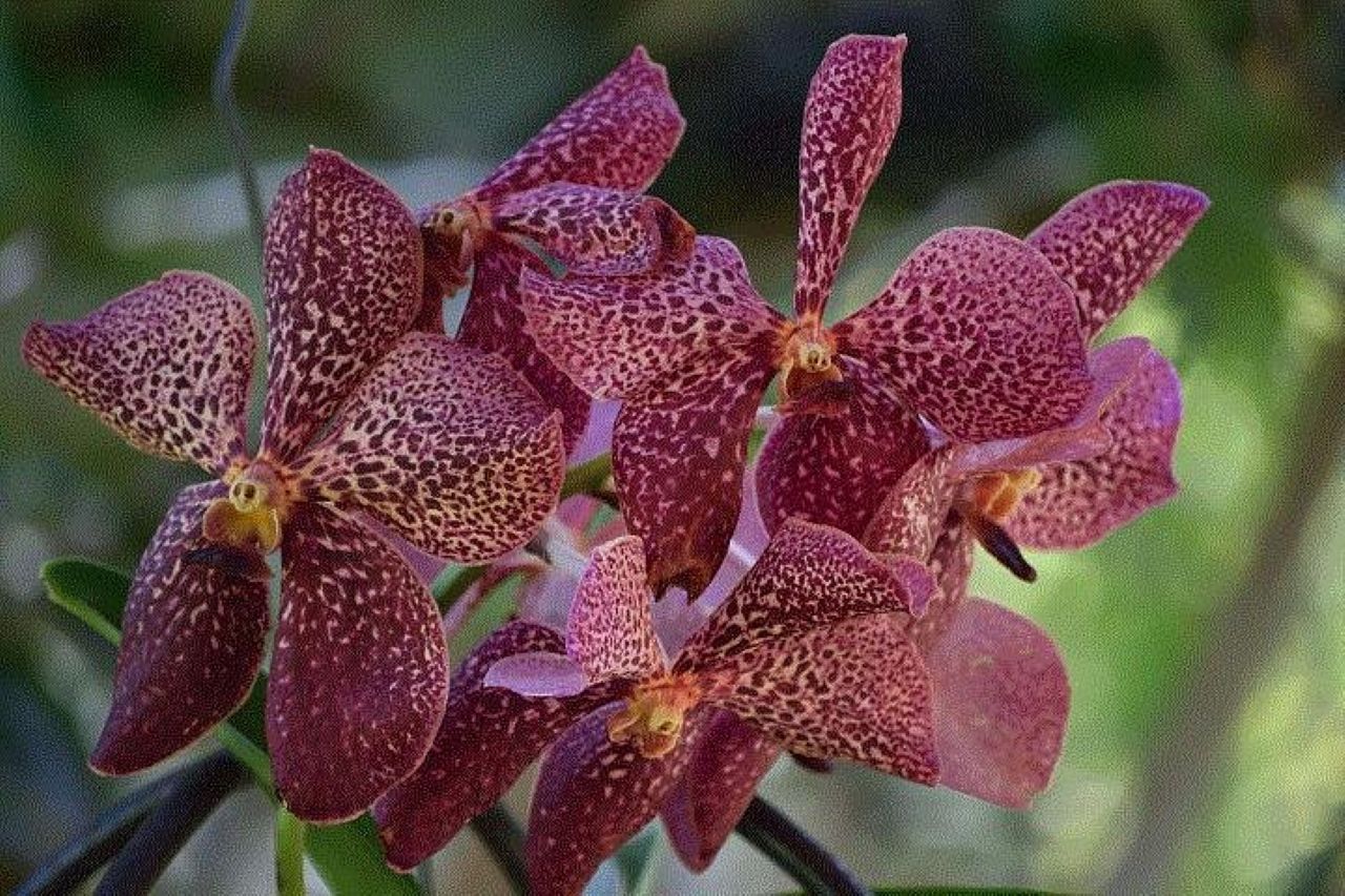 Excite Tours & Travel Fiji