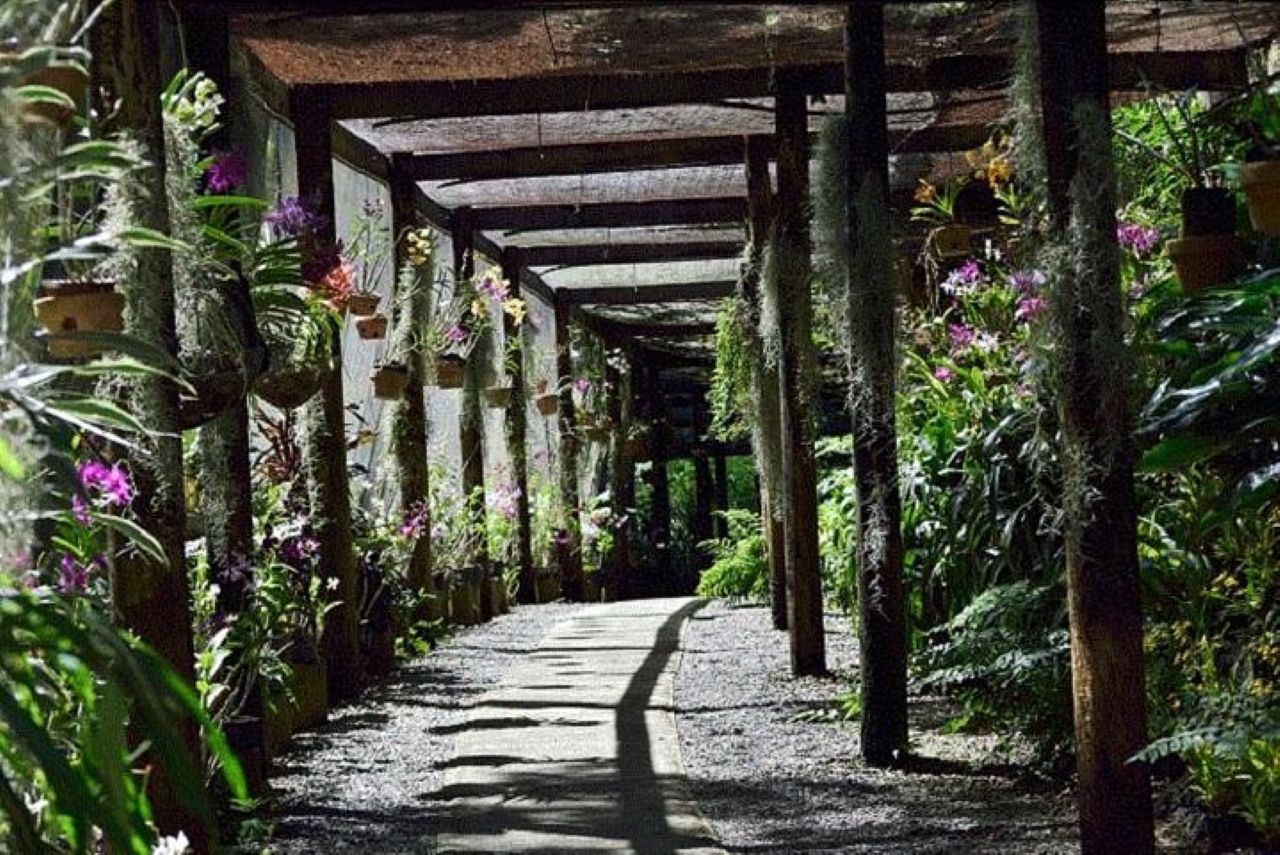 Excite Tours & Travel Fiji