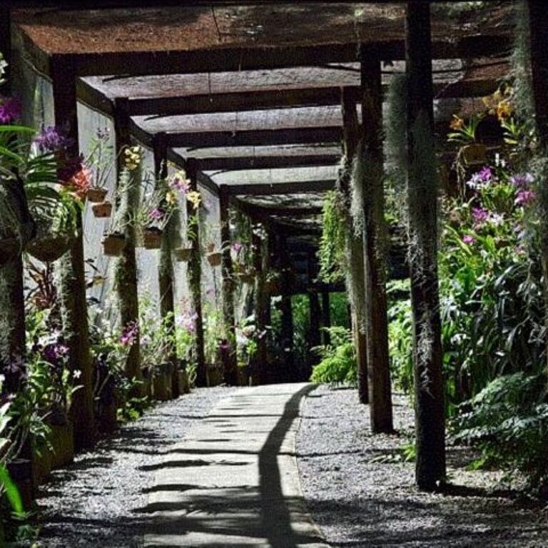 Excite Tours & Travel Fiji