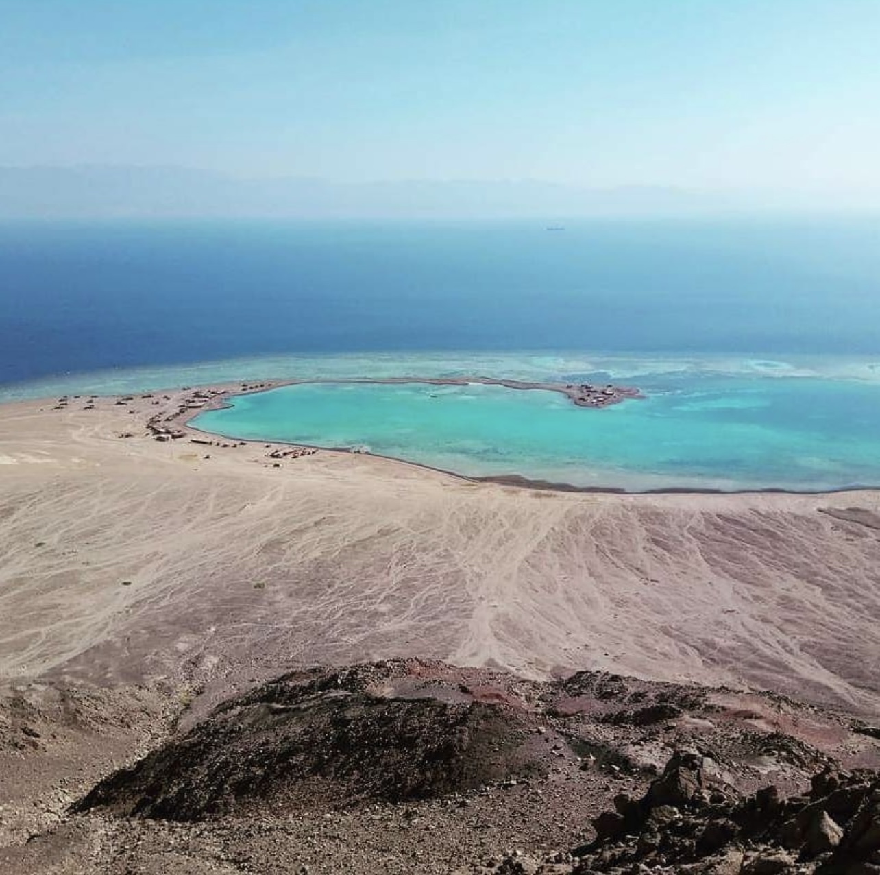 Why Not Safari Tours