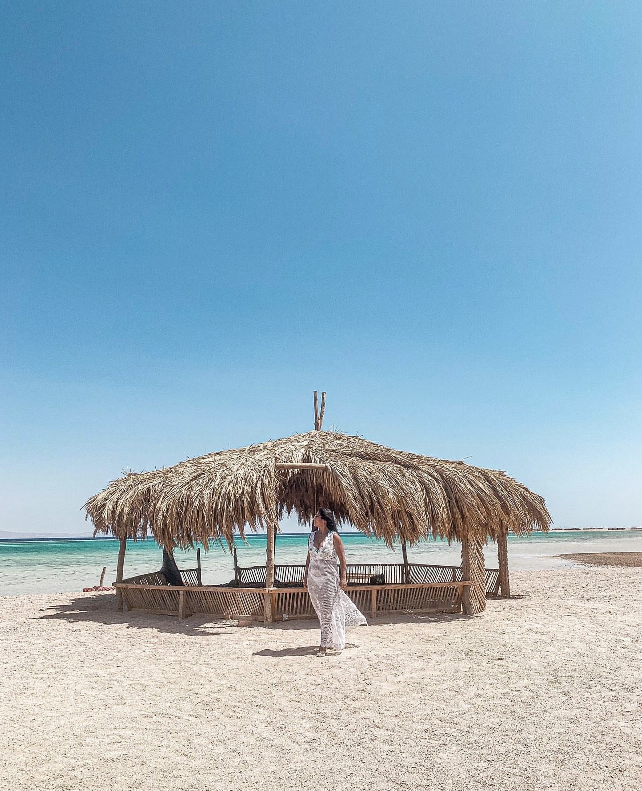 Why Not Safari Tours