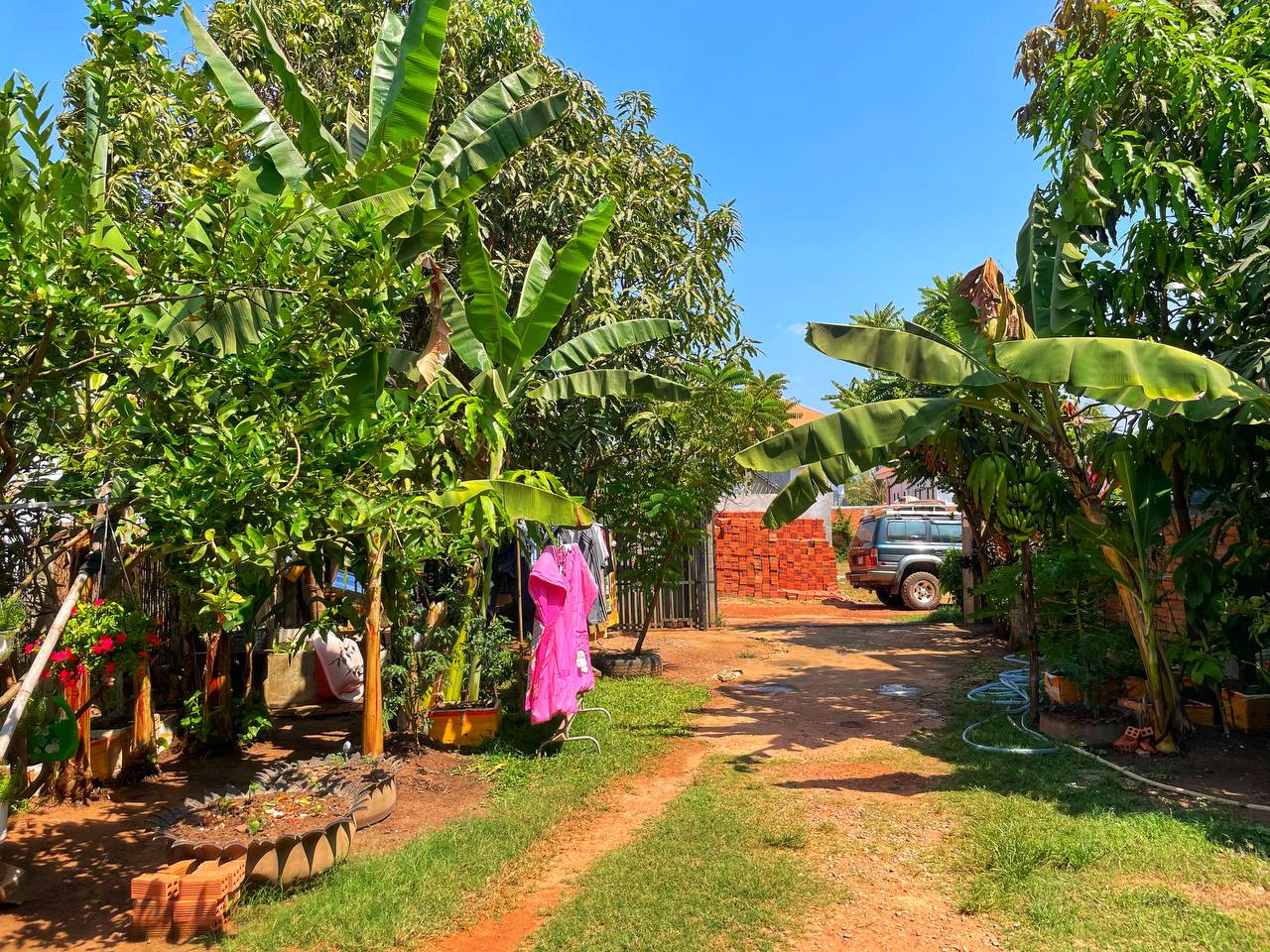Dine With The Locals