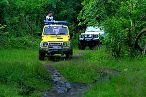 GunGGunG Adventure