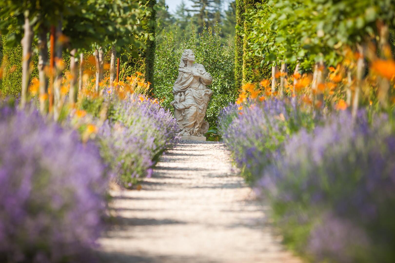 Chateau Nové Hrady u Litomyšle