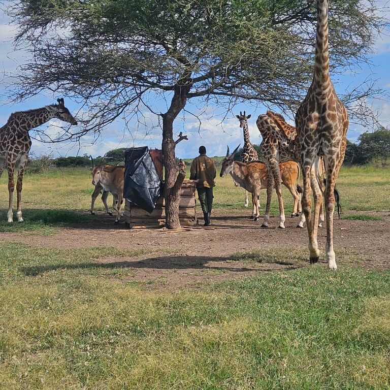 Epic Horizons Safaris