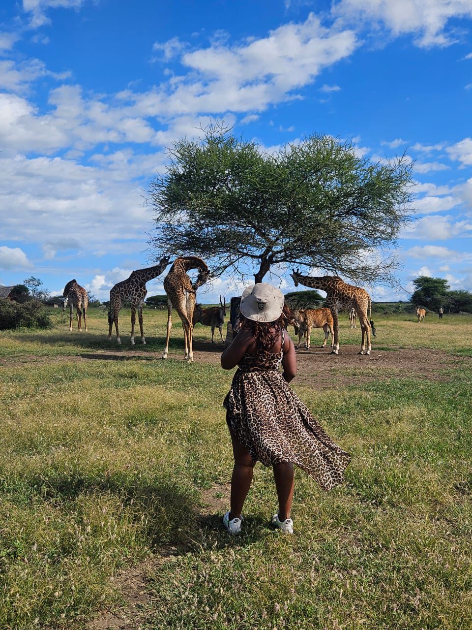 Epic Horizons Safaris