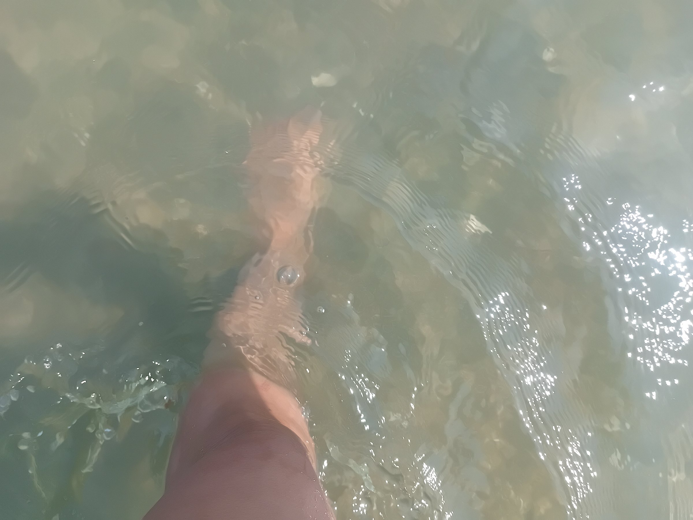 3 Days Nature&Art Retreat