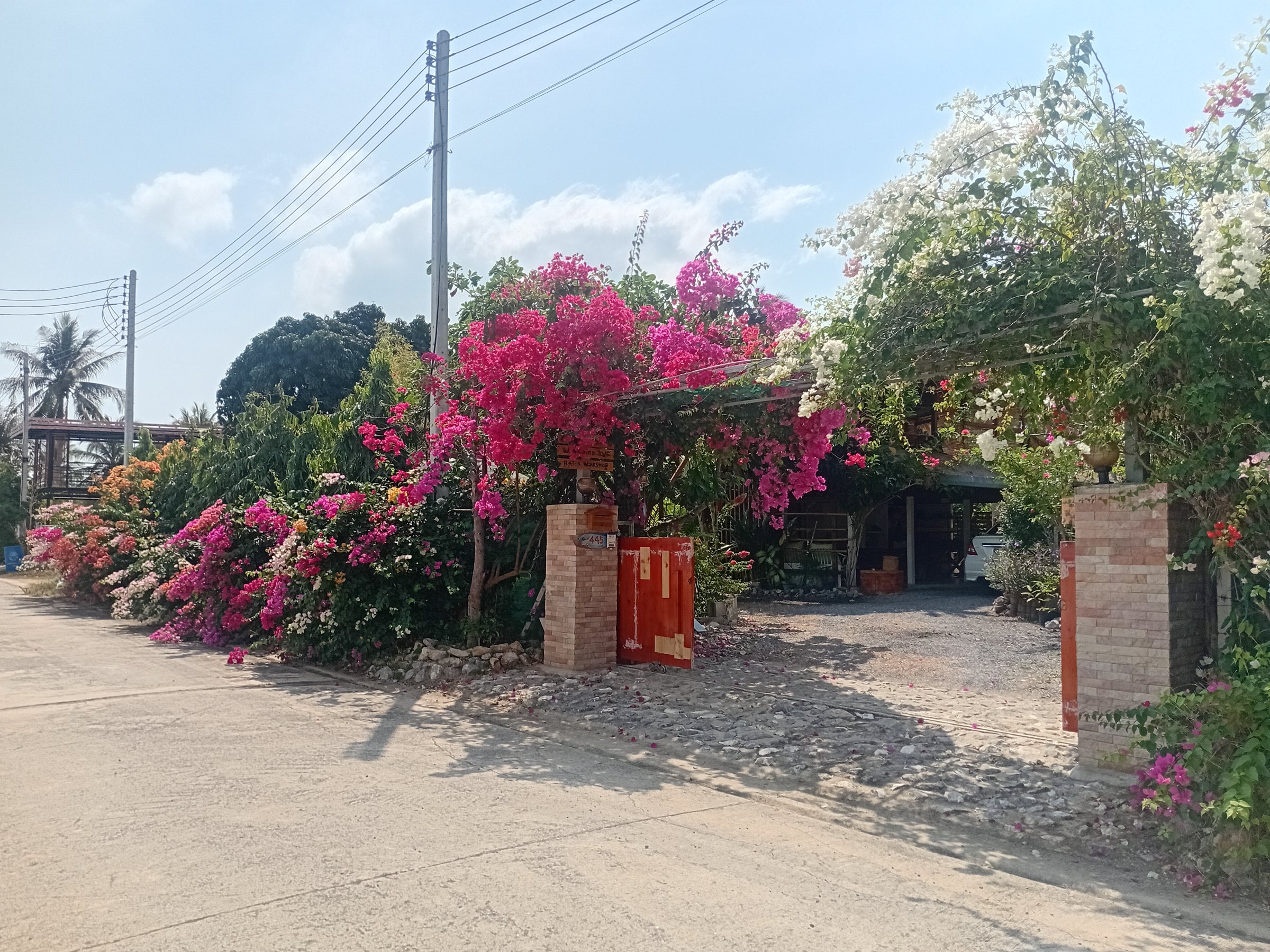 3 Days Nature&Art Retreat