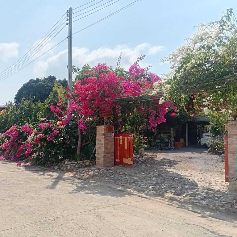 3 Days Nature&Art Retreat