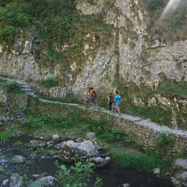 CURLY GUIDE TOURS