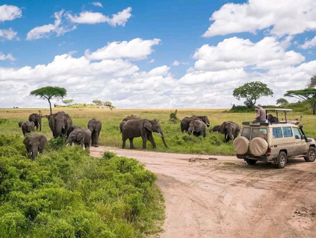 Emmanuel john massawe