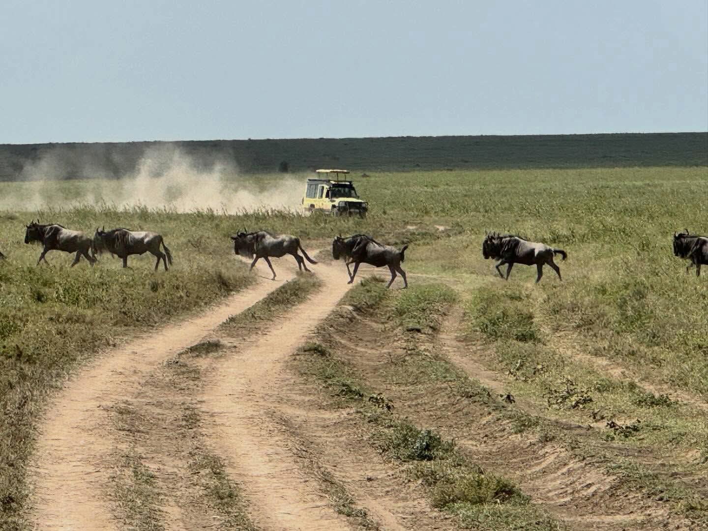 Emmanuel john massawe