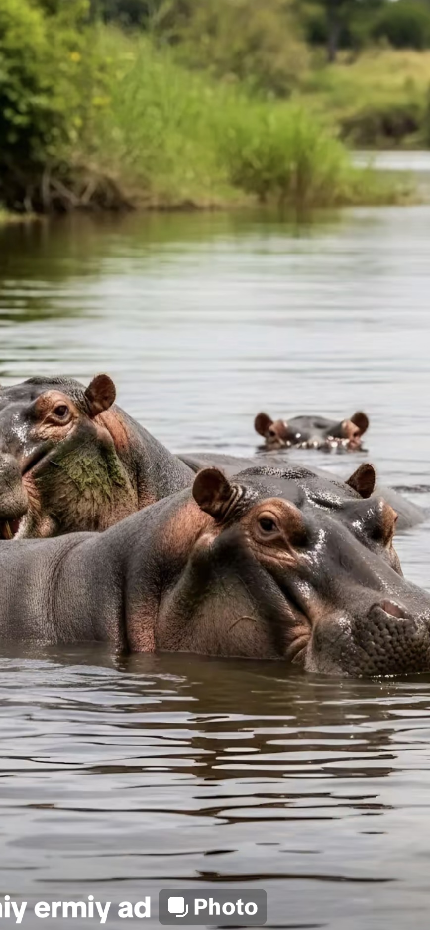 Bona Fide Ethiopia Tours