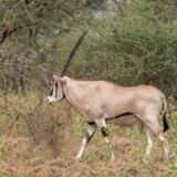 Bona Fide Ethiopia Tours