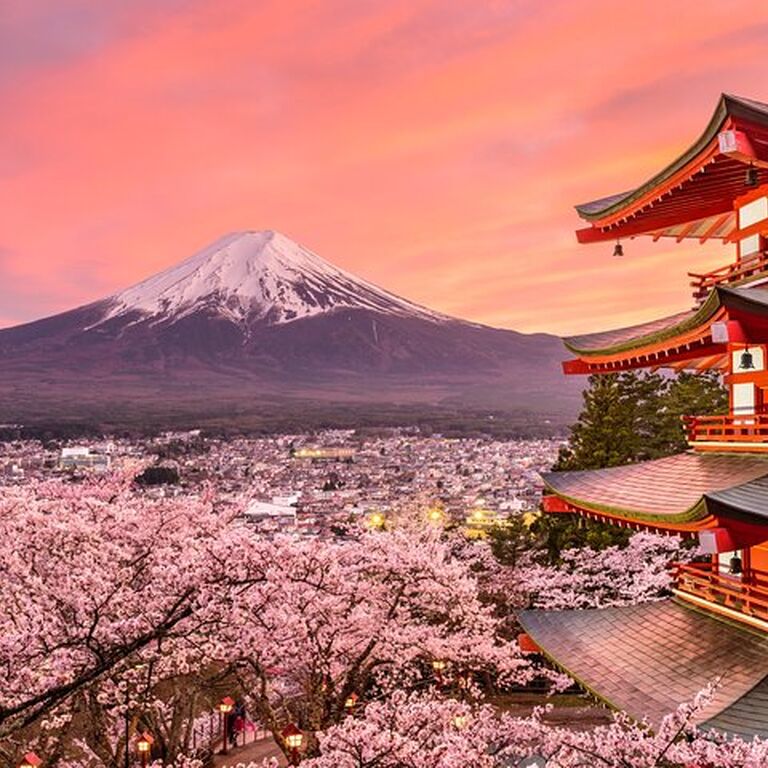 Glocal Japan