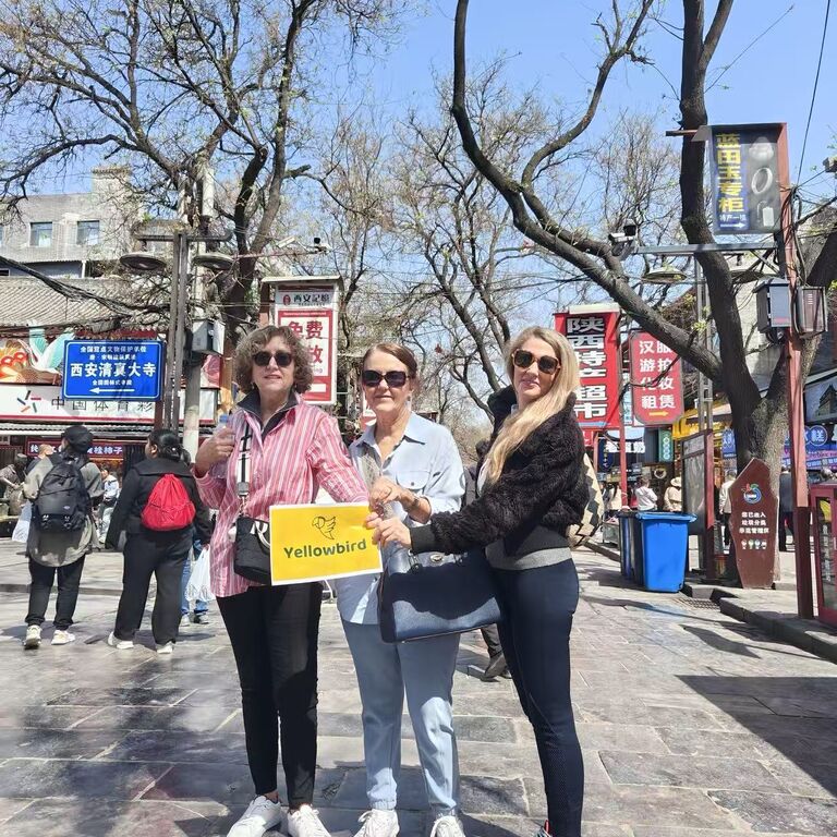 YellowBirdTour