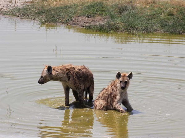 Tarangire National Park
