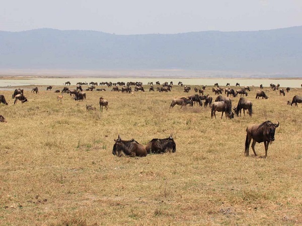 Tarangire National Park