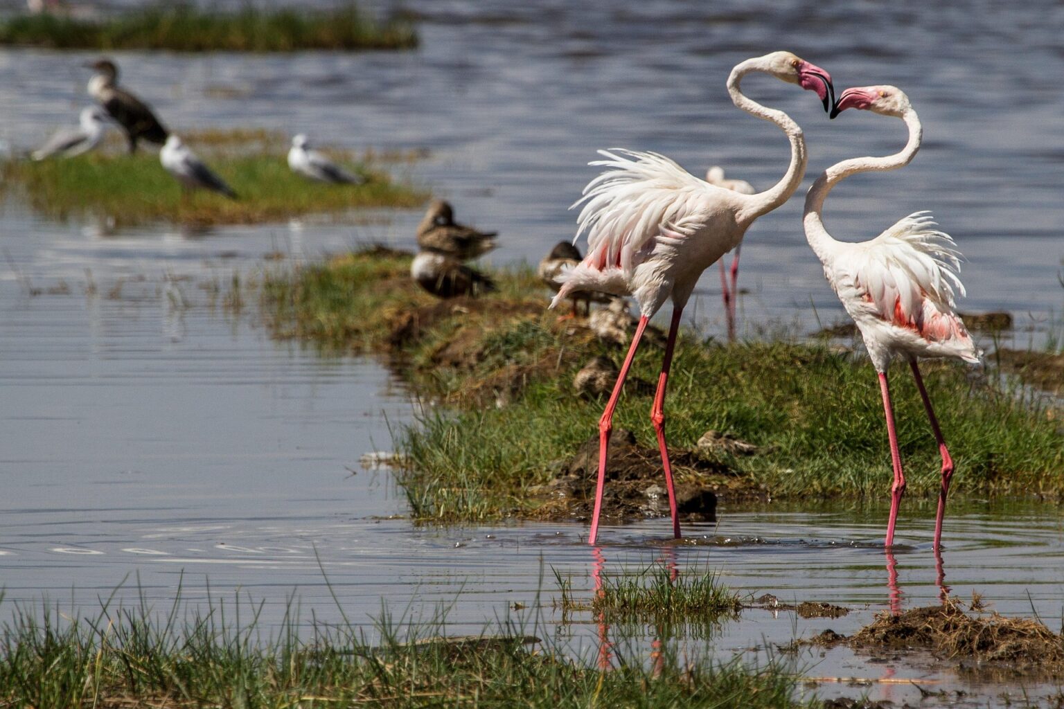 Afrique Calabash Tours ltd