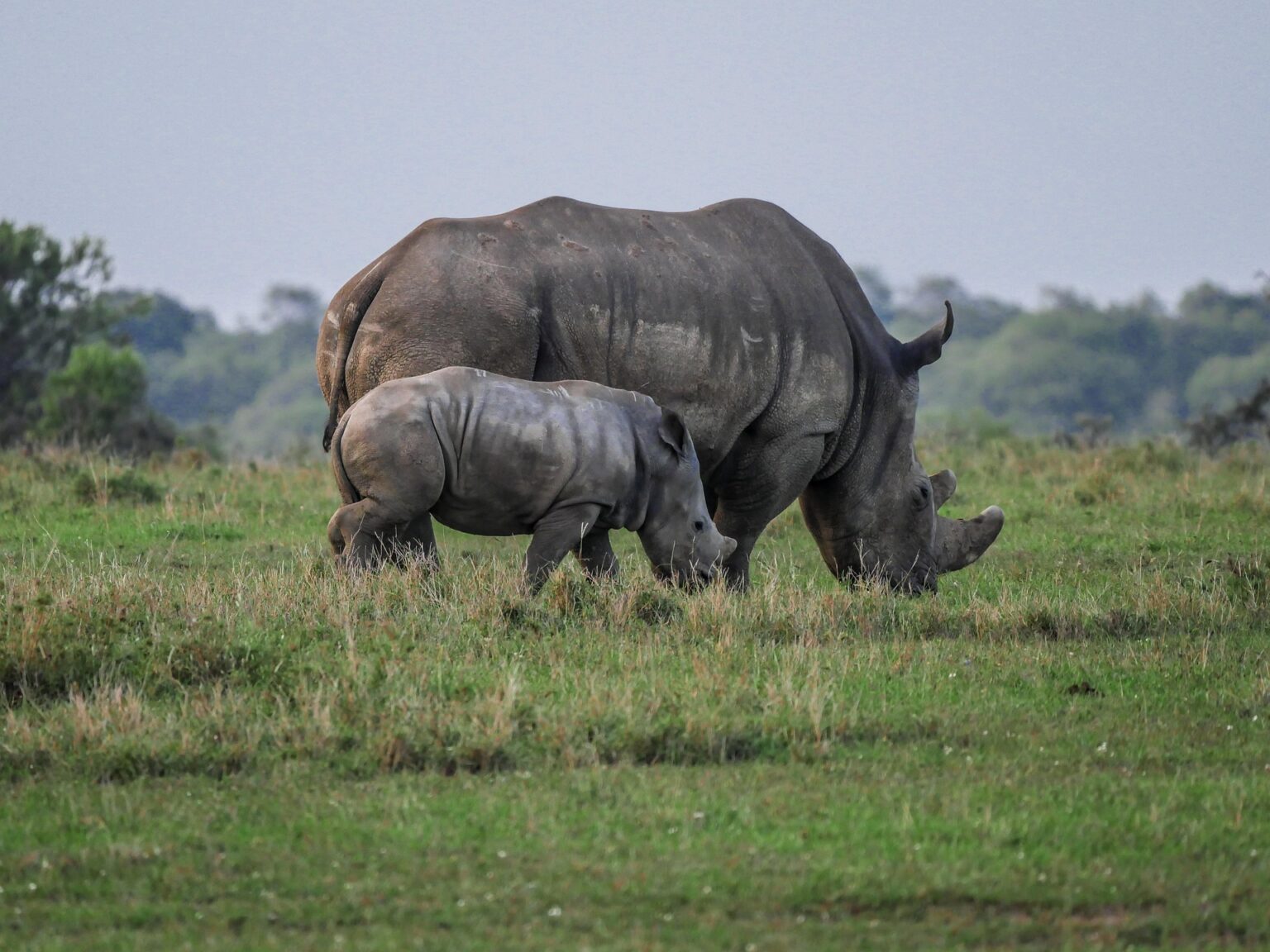 Afrique Calabash Tours ltd