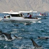 Mansa Sea Tourism