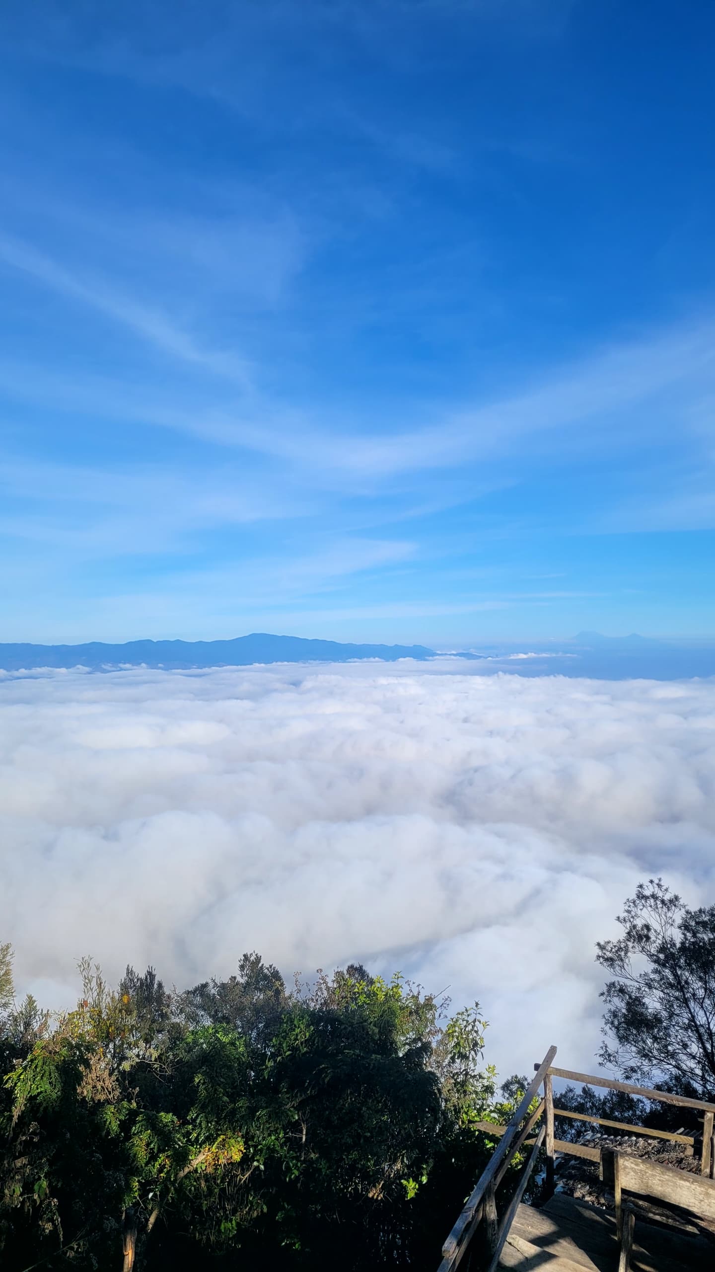 Friends of Usambara Society