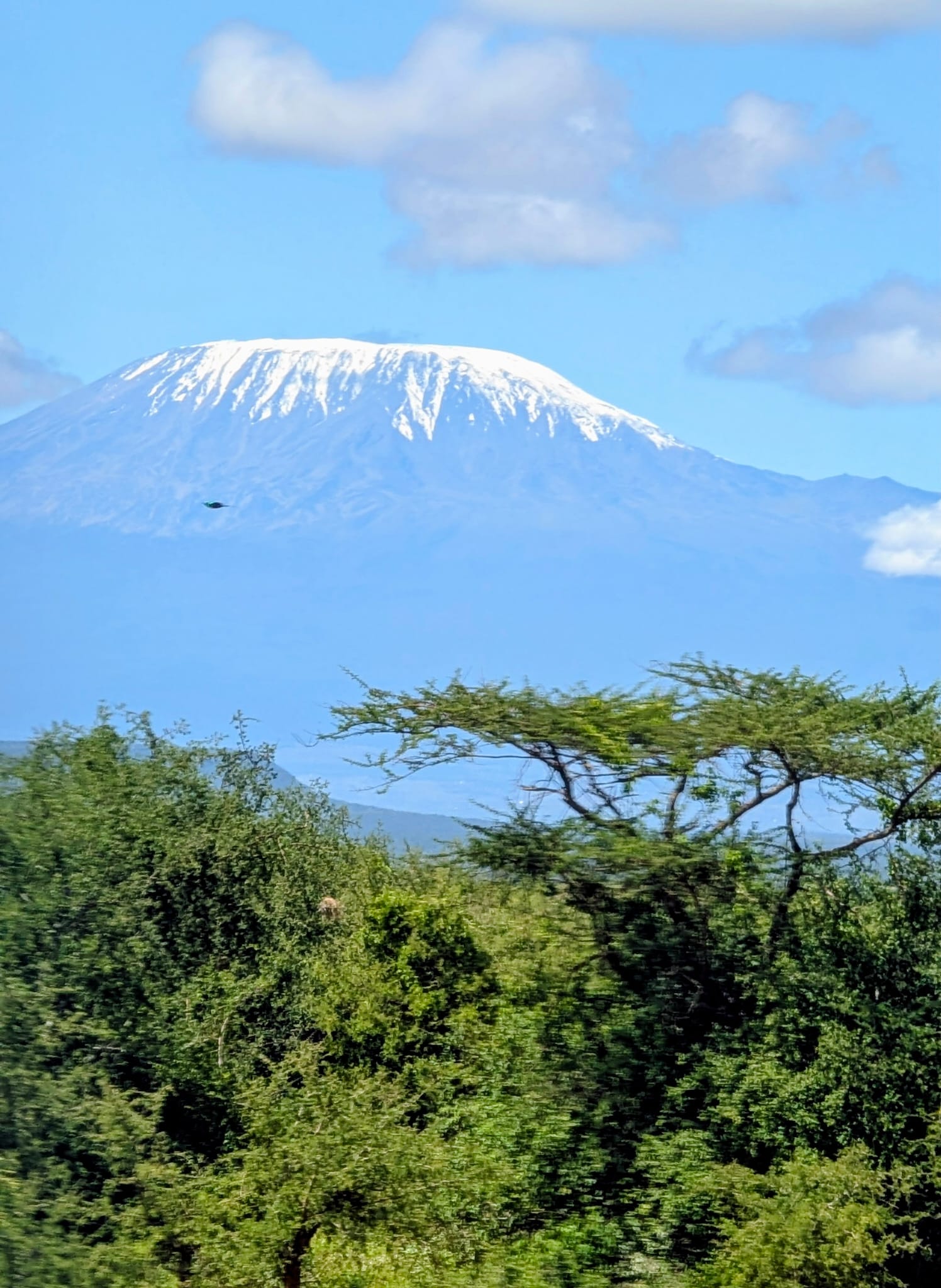 Azari Afrika Safaris Ltd