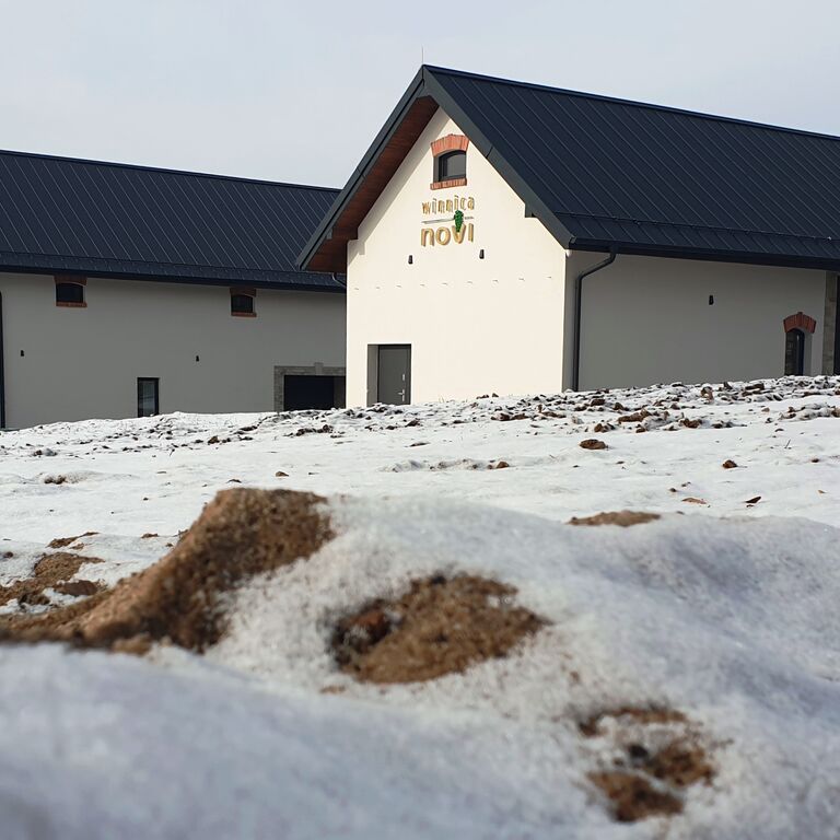 NOVI Vineyard