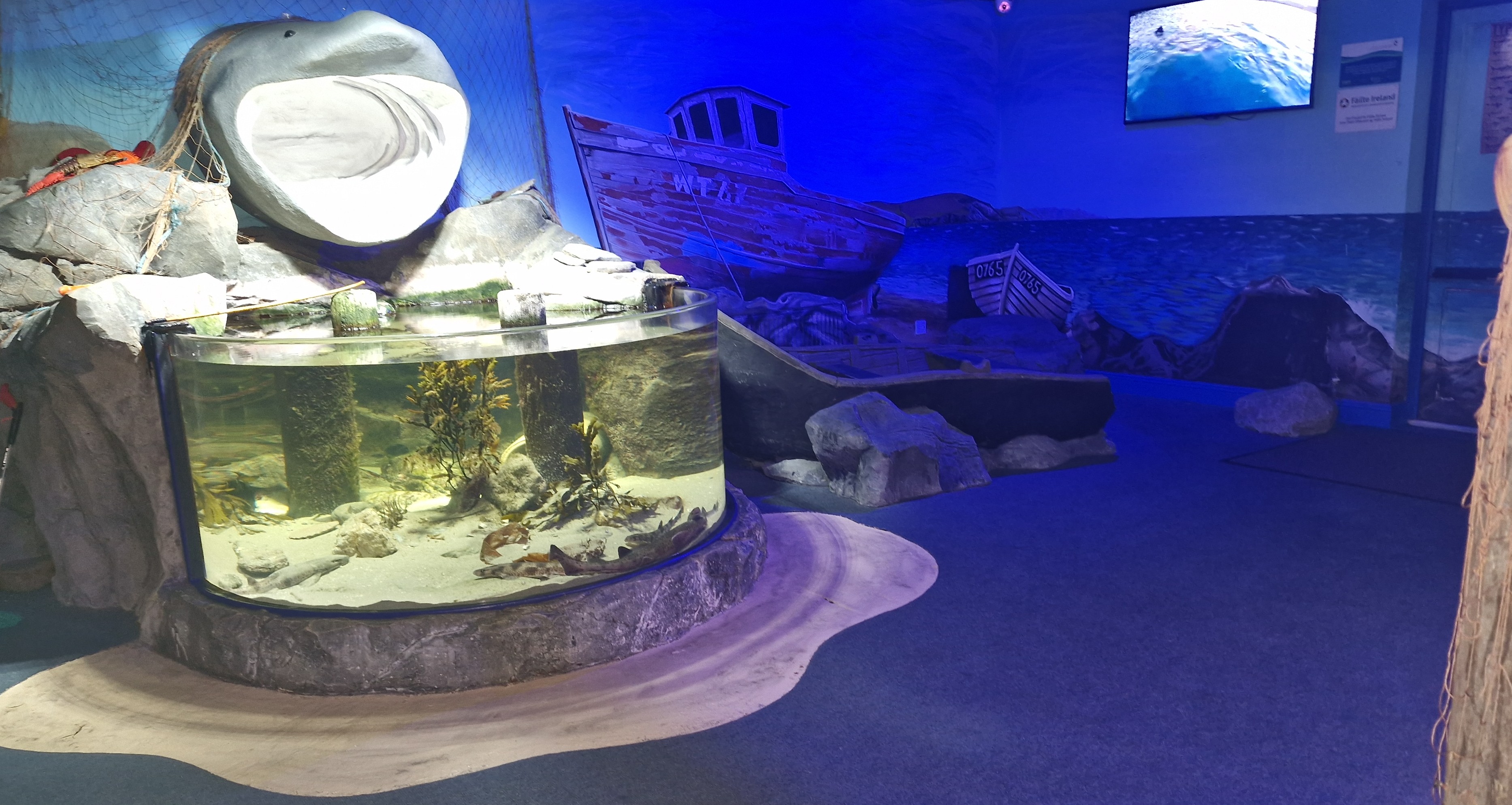 Achill Experience Aquarium & V