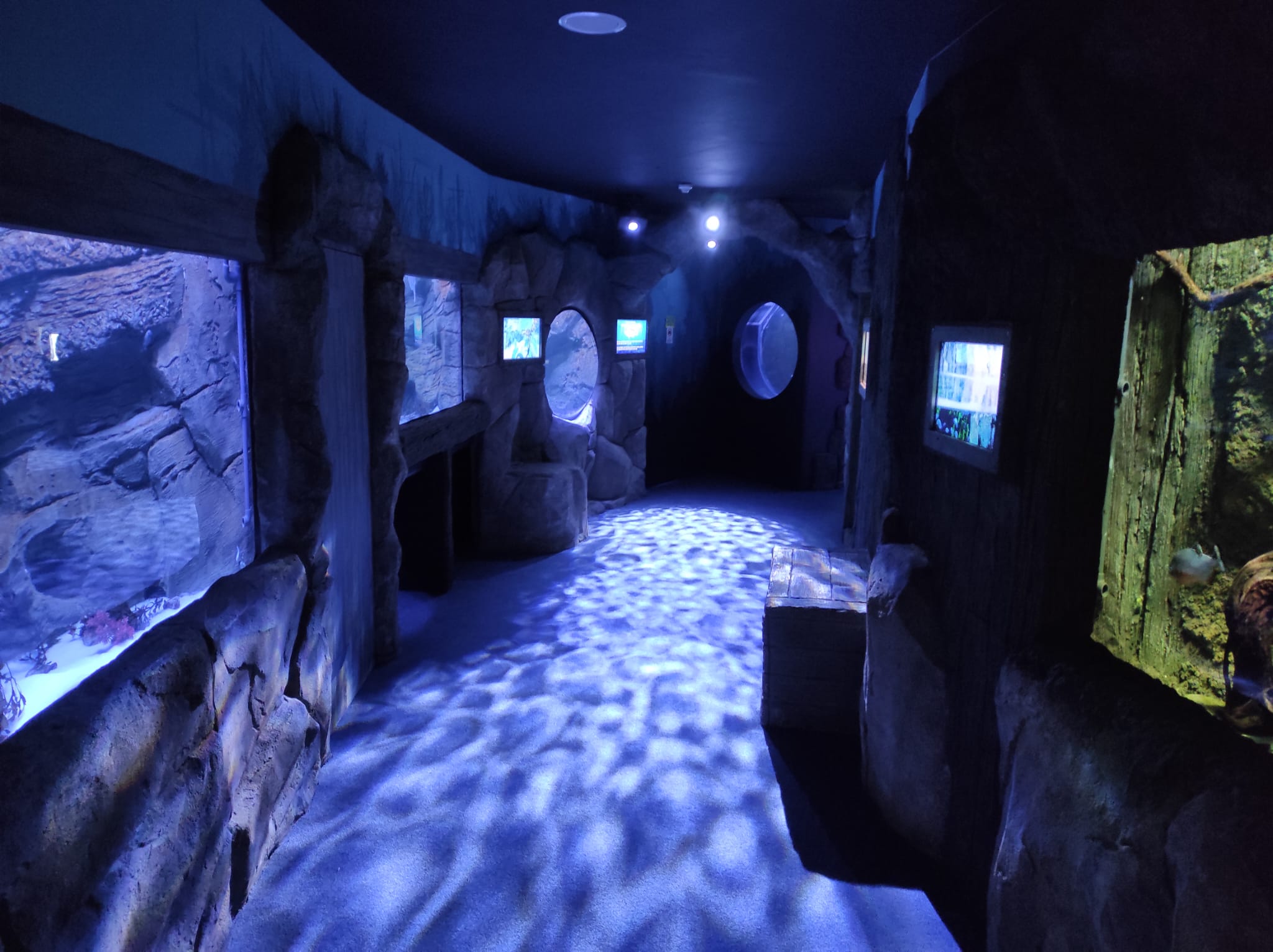 Achill Experience Aquarium & V